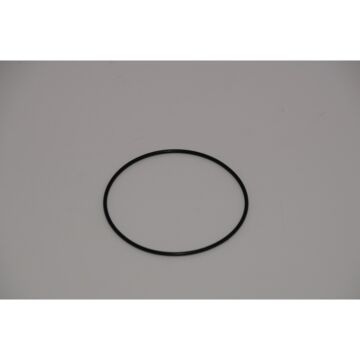 Johnson O-Ring (05-06-595)