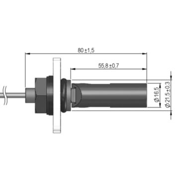Philippi DSW level switch