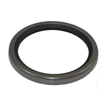 Steyr  DICHTRING, THERMOSTAT