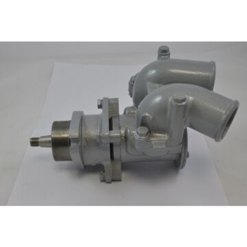 POMPE À EAU BRUTE Steyr (PEINTUREE)