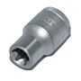 Noix Torx Steyr E14